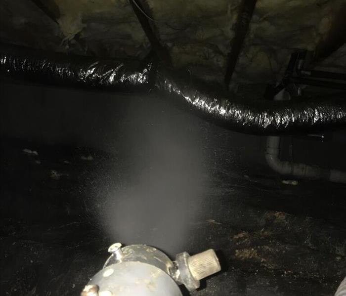 Thermal Fogger in Action