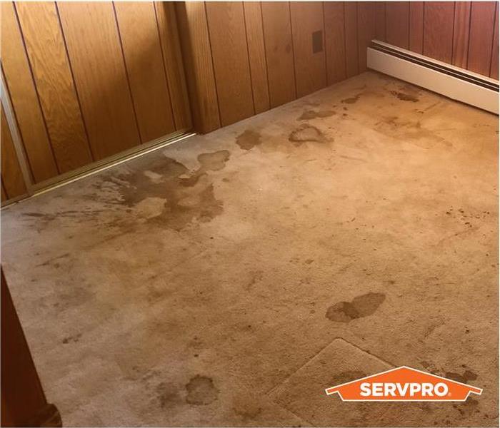 water stains on a carpet, beige carpet in a 1970s built house, wood paneling walls, orange SERVPRO  logo in corner