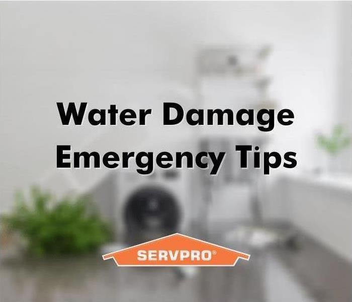 water damage tips