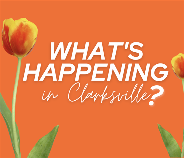 tulips on an orange background, the words "whats happening in clarksville" words in the center of the tulips